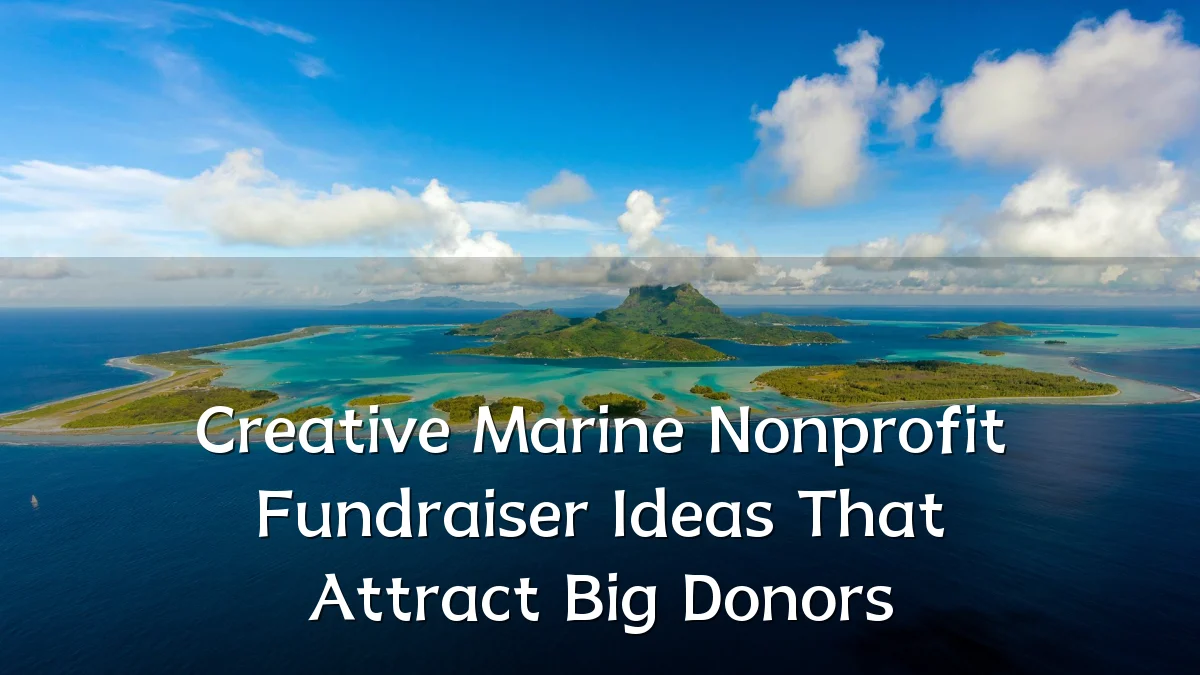 Creative Marine Nonprofit Fundraiser Ideas That Attract Big Donors