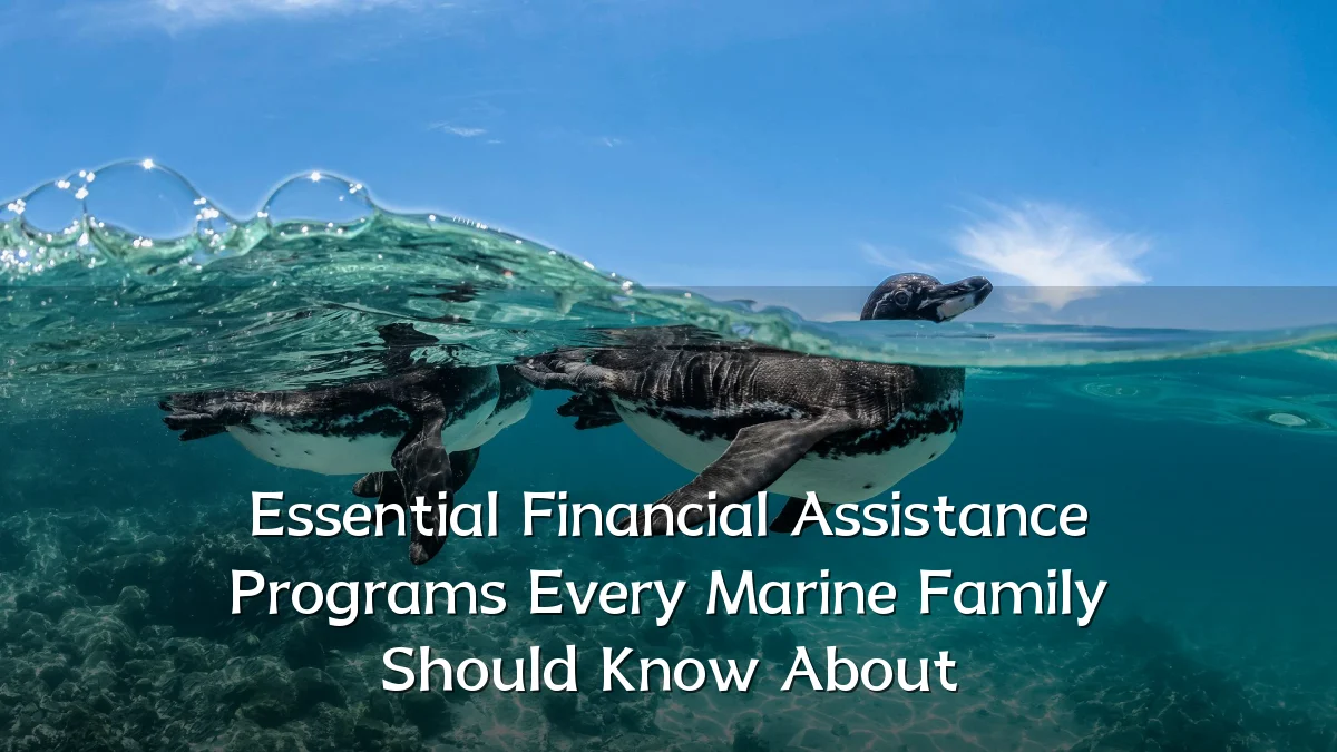 Essential Financial Assistance Programs Every Marine Family Should Know About
