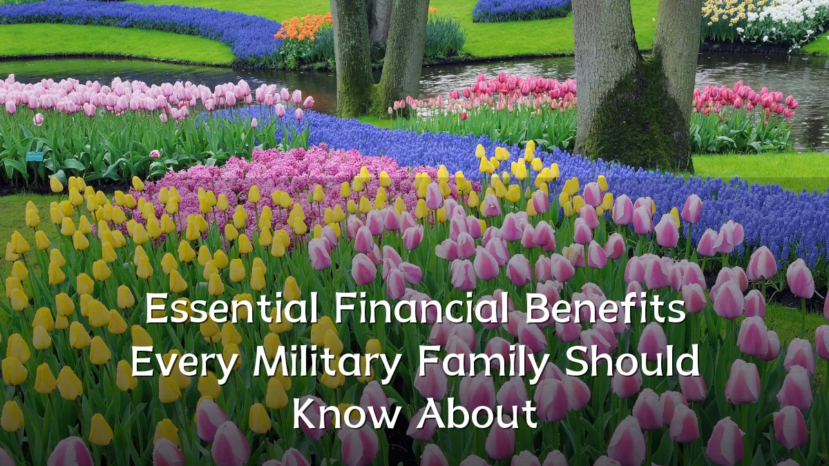 Essential Financial Benefits Every Military Family Should Know About