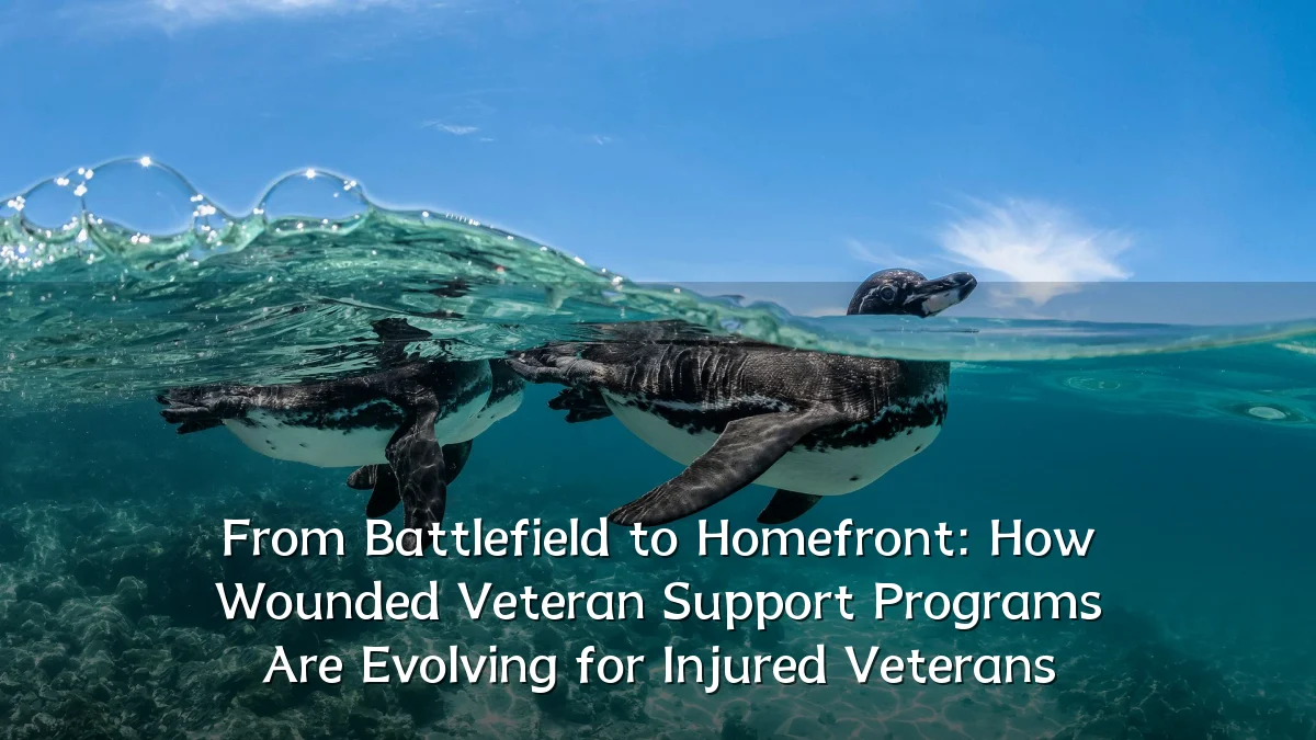 From Battlefield to Homefront: How Wounded Veteran Support Programs Are Evolving for Injured Veterans