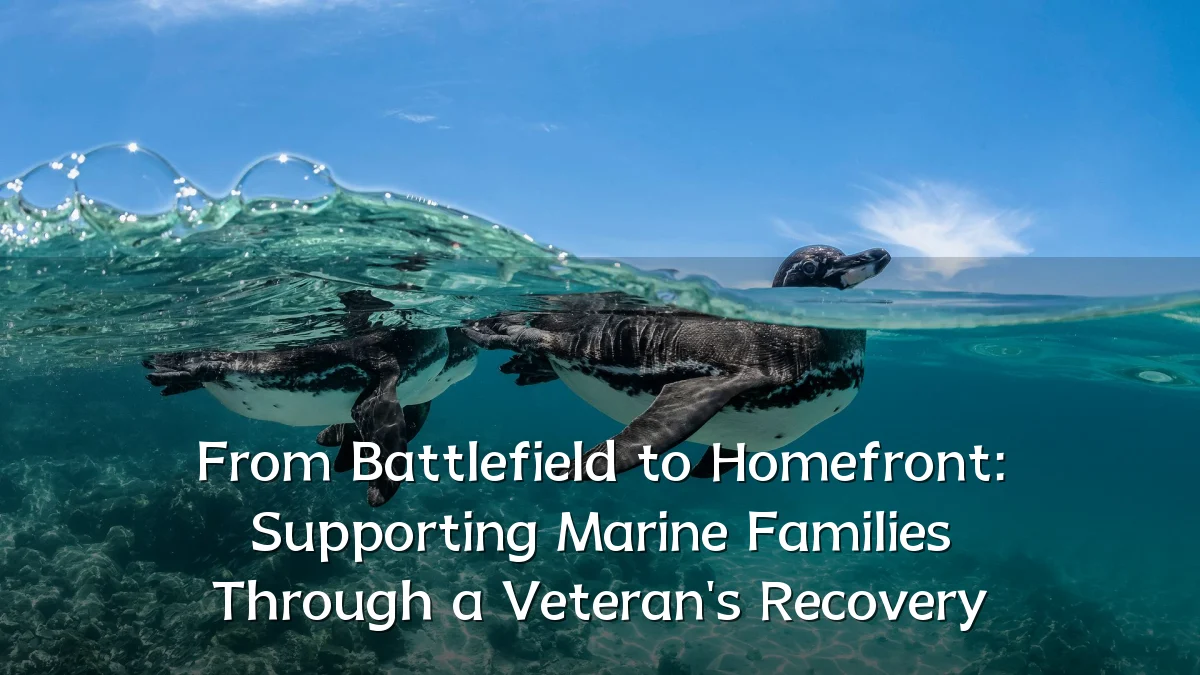From Battlefield to Homefront: Supporting Marine Families Through a Veteran's Recovery