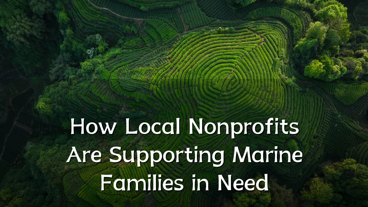 How Local Nonprofits Are Supporting Marine Families in Need