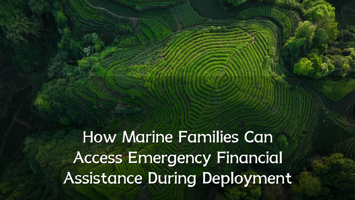 How Marine Families Can Access Emergency Financial Assistance During Deployment