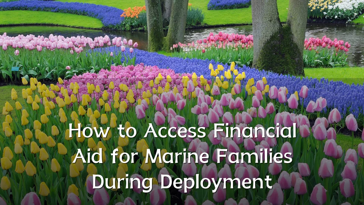 How to Access Financial Aid for Marine Families During Deployment