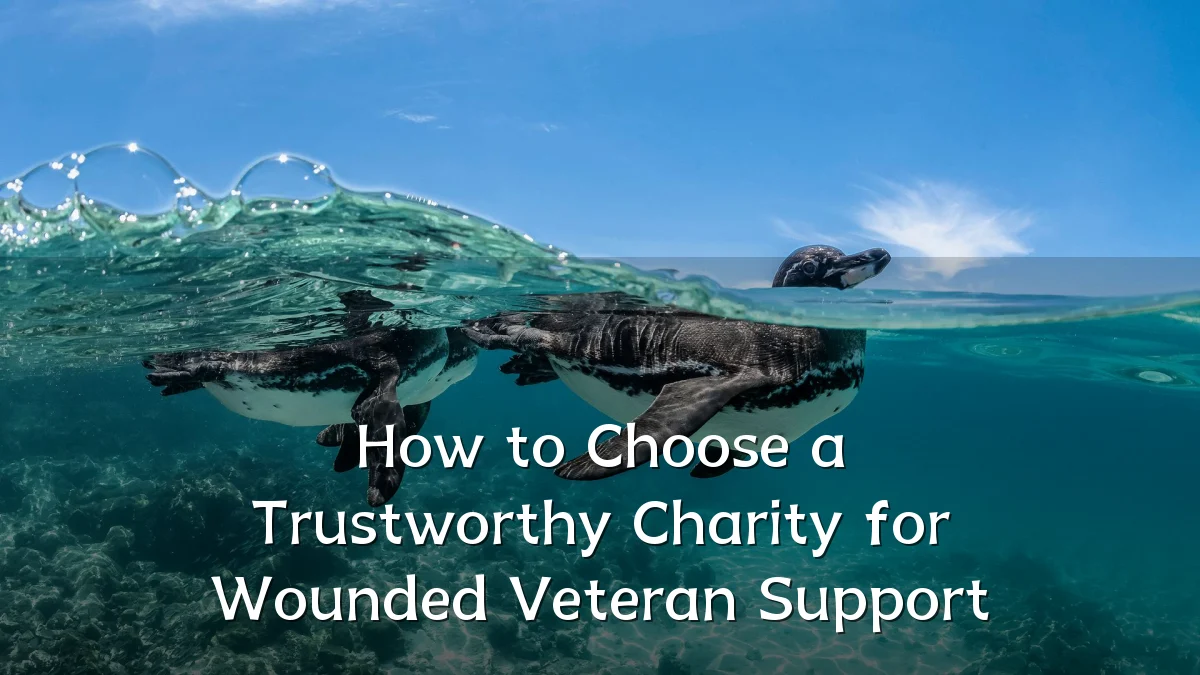 How to Choose a Trustworthy Charity for Wounded Veteran Support