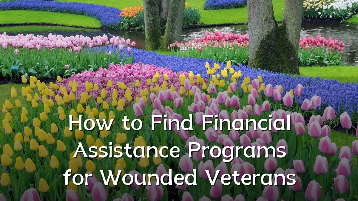 How to Find Financial Assistance Programs for Wounded Veterans