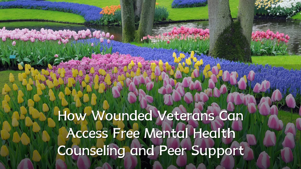 How Wounded Veterans Can Access Free Mental Health Counseling and Peer Support