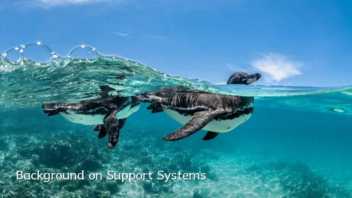 Background on Support Systems