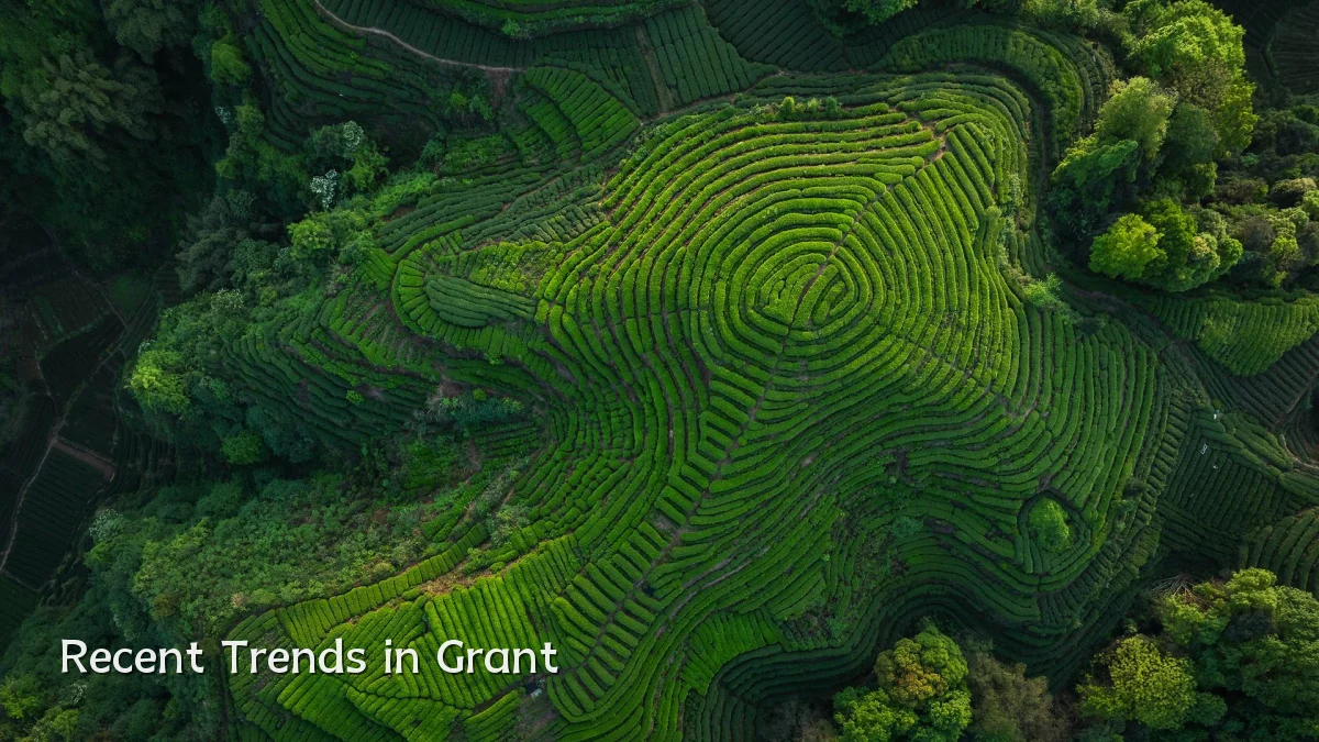Recent Trends in Grant