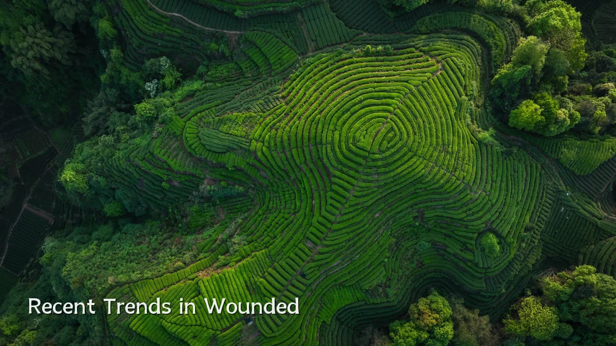 Recent Trends in Wounded
