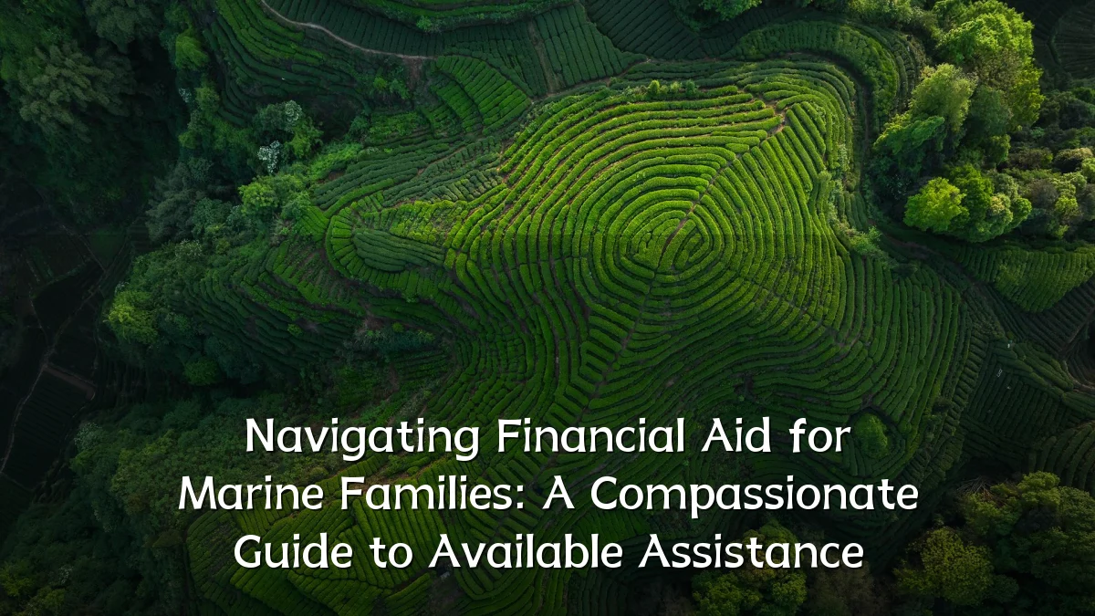 Navigating Financial Aid for Marine Families: A Compassionate Guide to Available Assistance