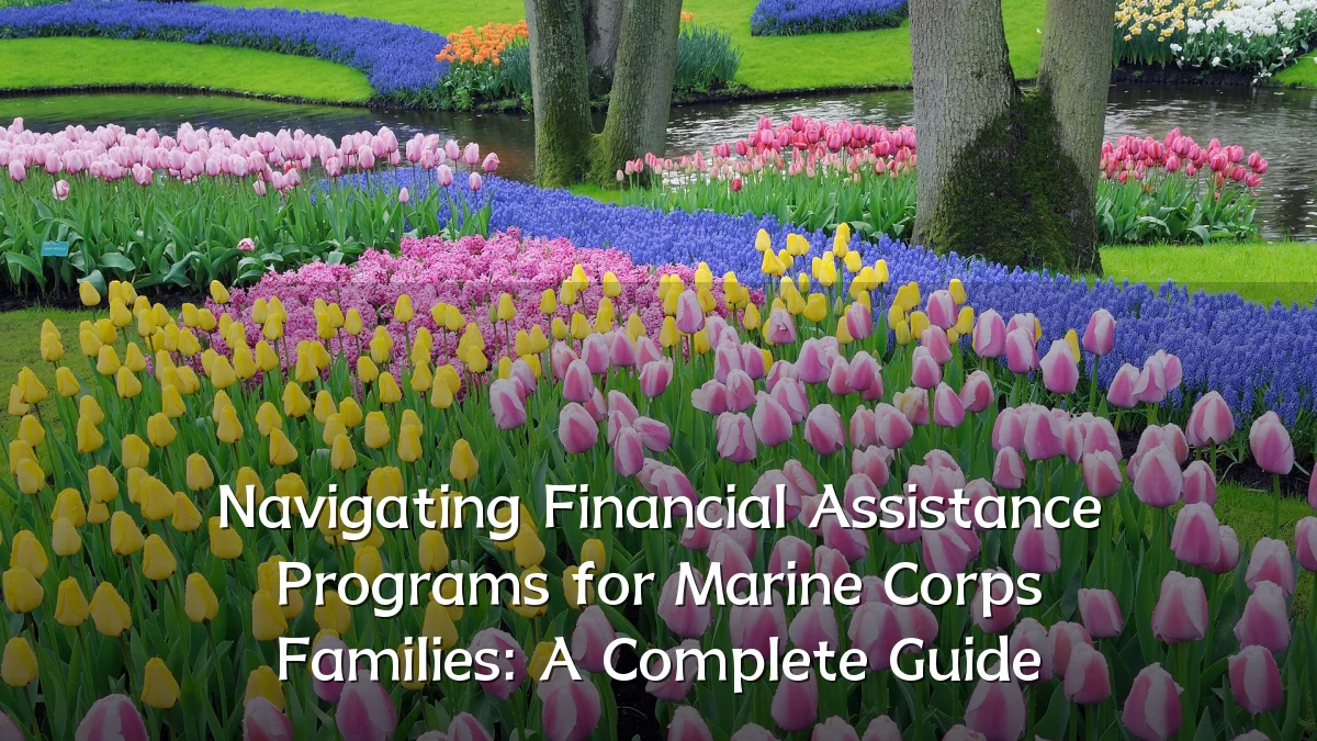 Navigating Financial Assistance Programs for Marine Corps Families: A Complete Guide