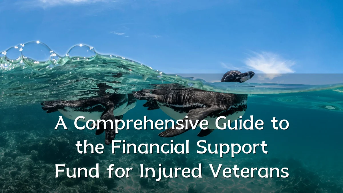 A Comprehensive Guide to the Financial Support Fund for Injured Veterans