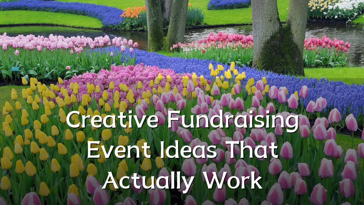 Creative Fundraising Event Ideas That Actually Work