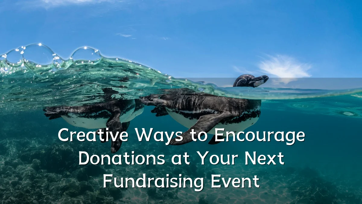 Creative Ways to Encourage Donations at Your Next Fundraising Event
