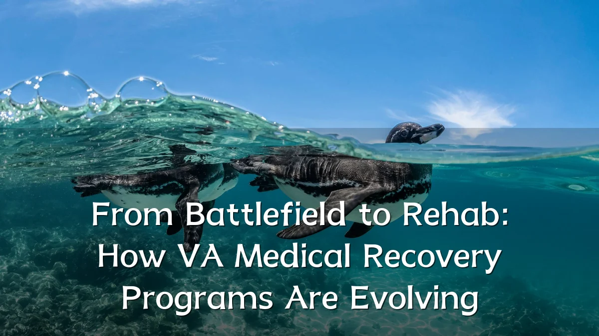 From Battlefield to Rehab: How VA Medical Recovery Programs Are Evolving