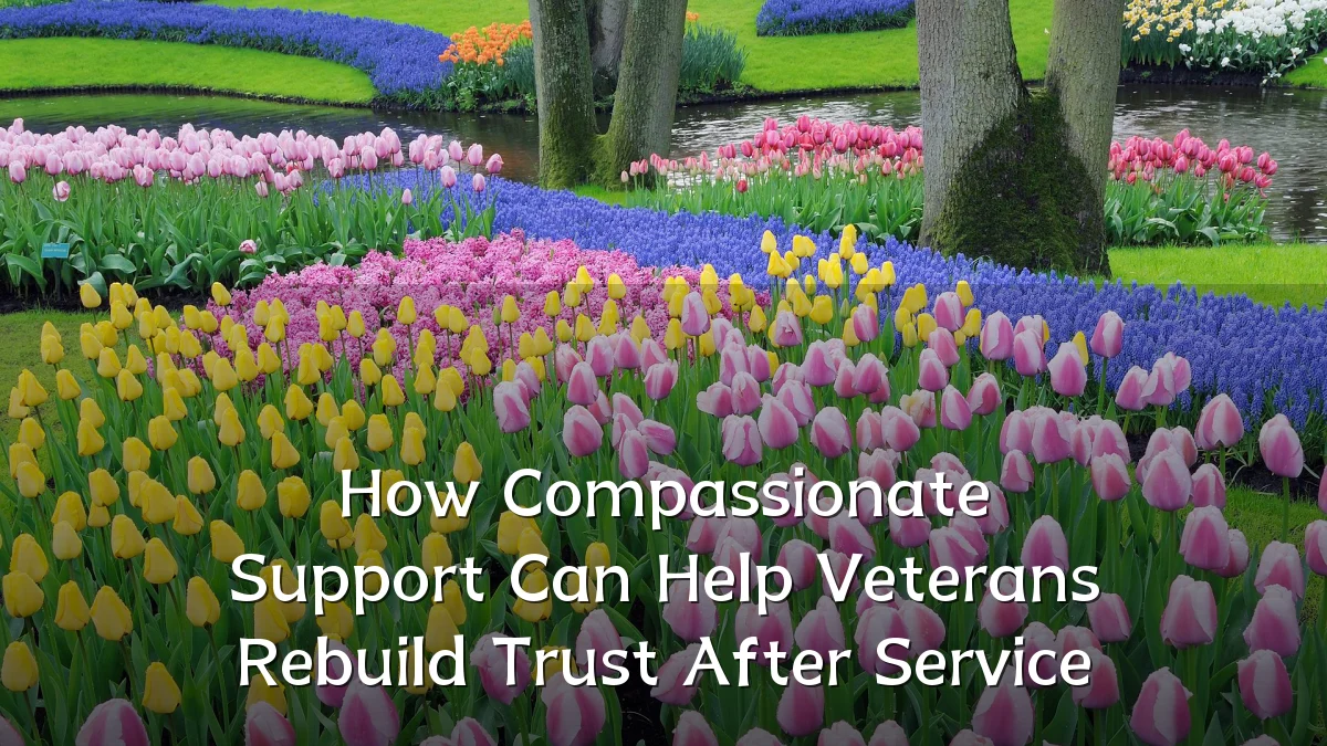 How Compassionate Support Can Help Veterans Rebuild Trust After Service