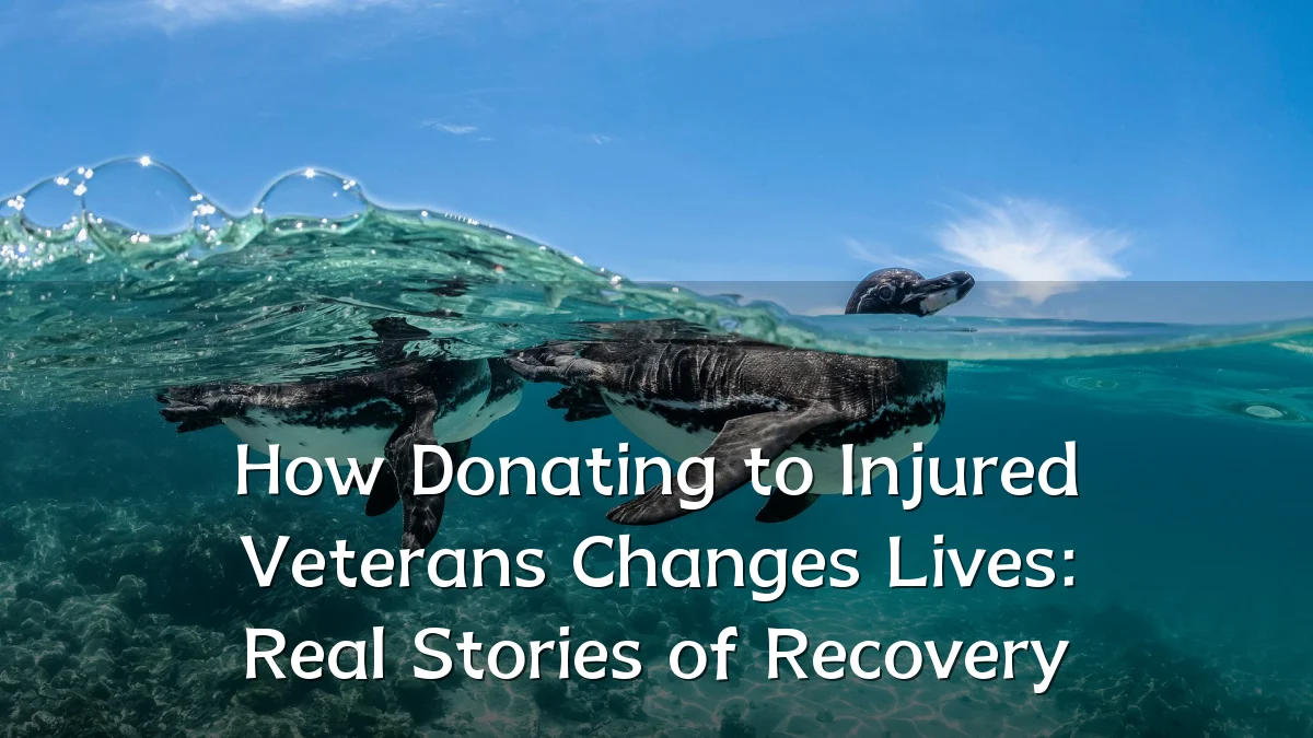 How Donating to Injured Veterans Changes Lives: Real Stories of Recovery