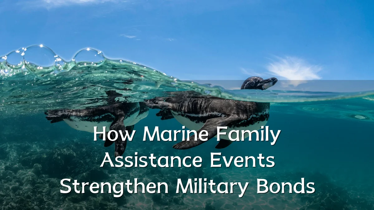 How Marine Family Assistance Events Strengthen Military Bonds