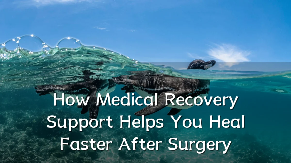 How Medical Recovery Support Helps You Heal Faster After Surgery