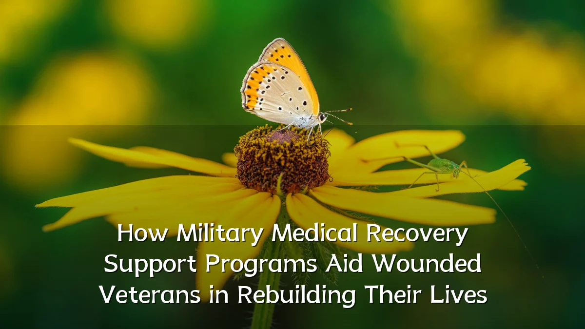How Military Medical Recovery Support Programs Aid Wounded Veterans in Rebuilding Their Lives