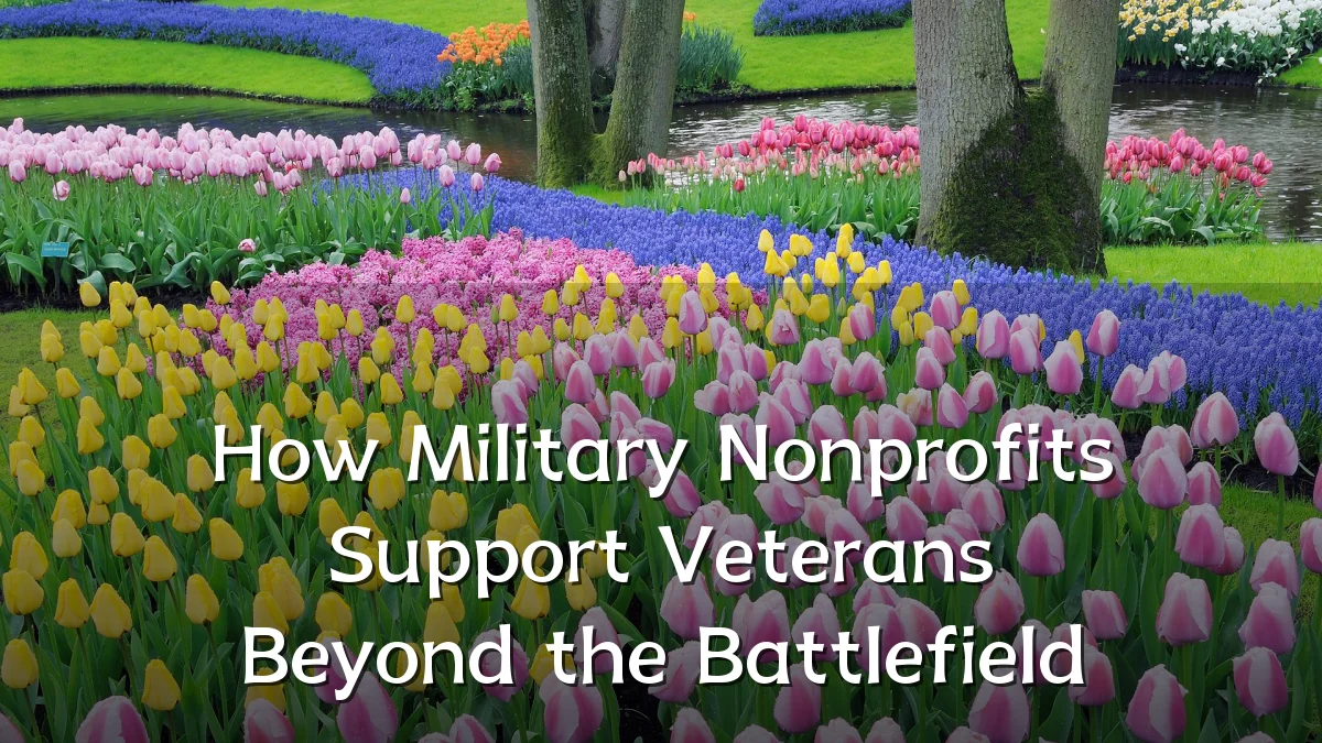 How Military Nonprofits Support Veterans Beyond the Battlefield