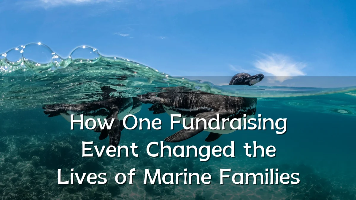 How One Fundraising Event Changed the Lives of Marine Families