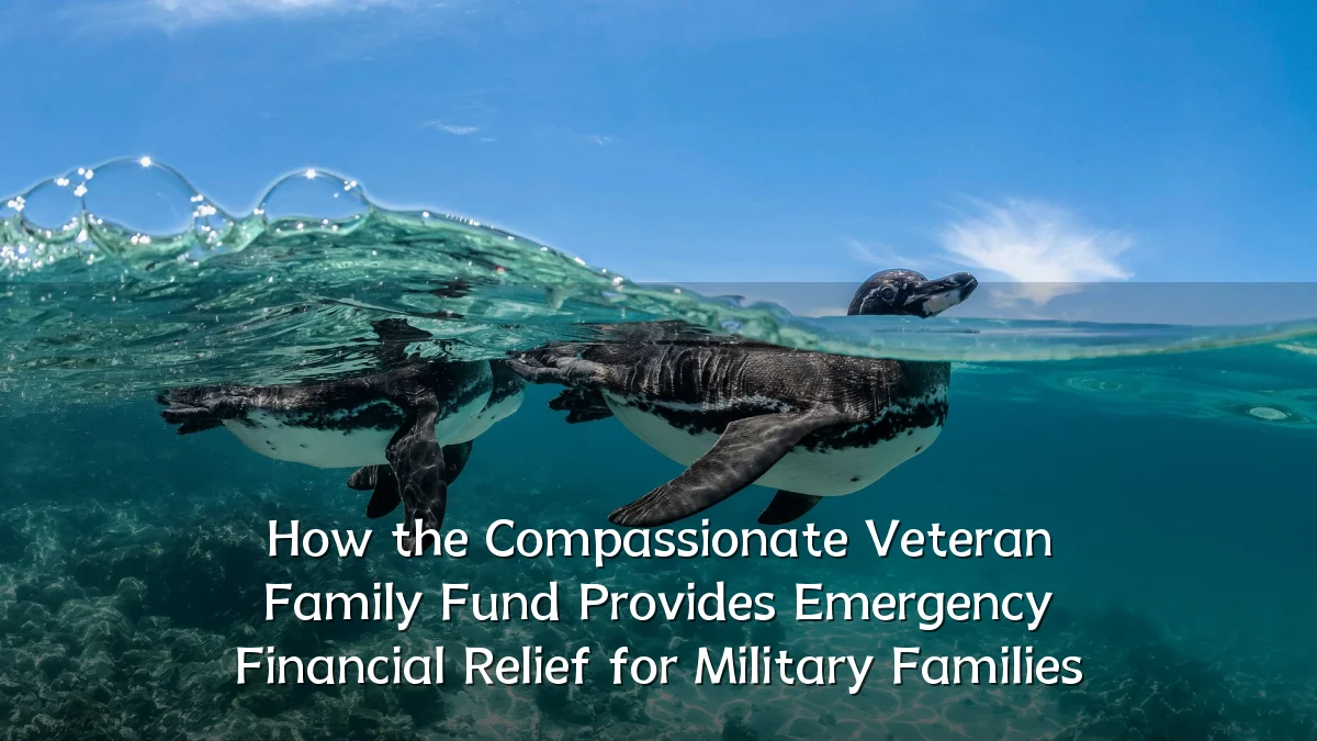 How the Compassionate Veteran Family Fund Provides Emergency Financial Relief for Military Families