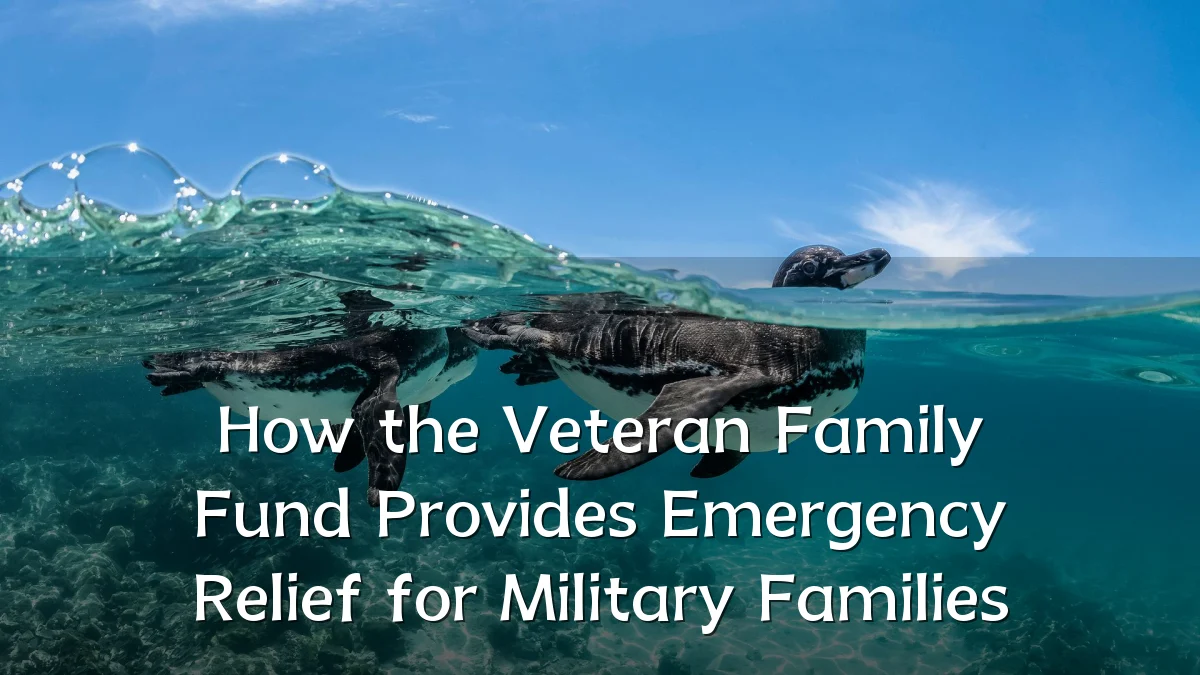 How the Veteran Family Fund Provides Emergency Relief for Military Families