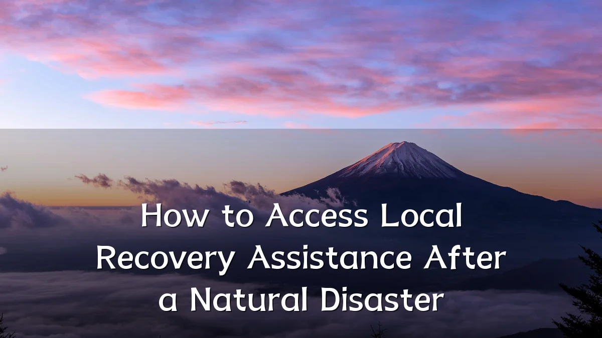 How to Access Local Recovery Assistance After a Natural Disaster