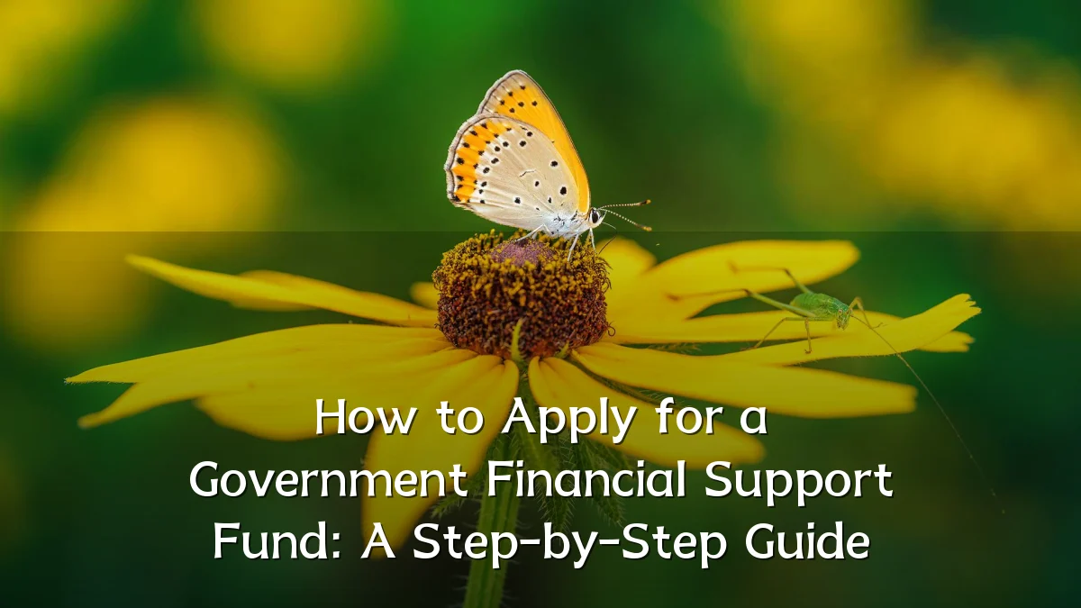How to Apply for a Government Financial Support Fund: A Step-by-Step Guide