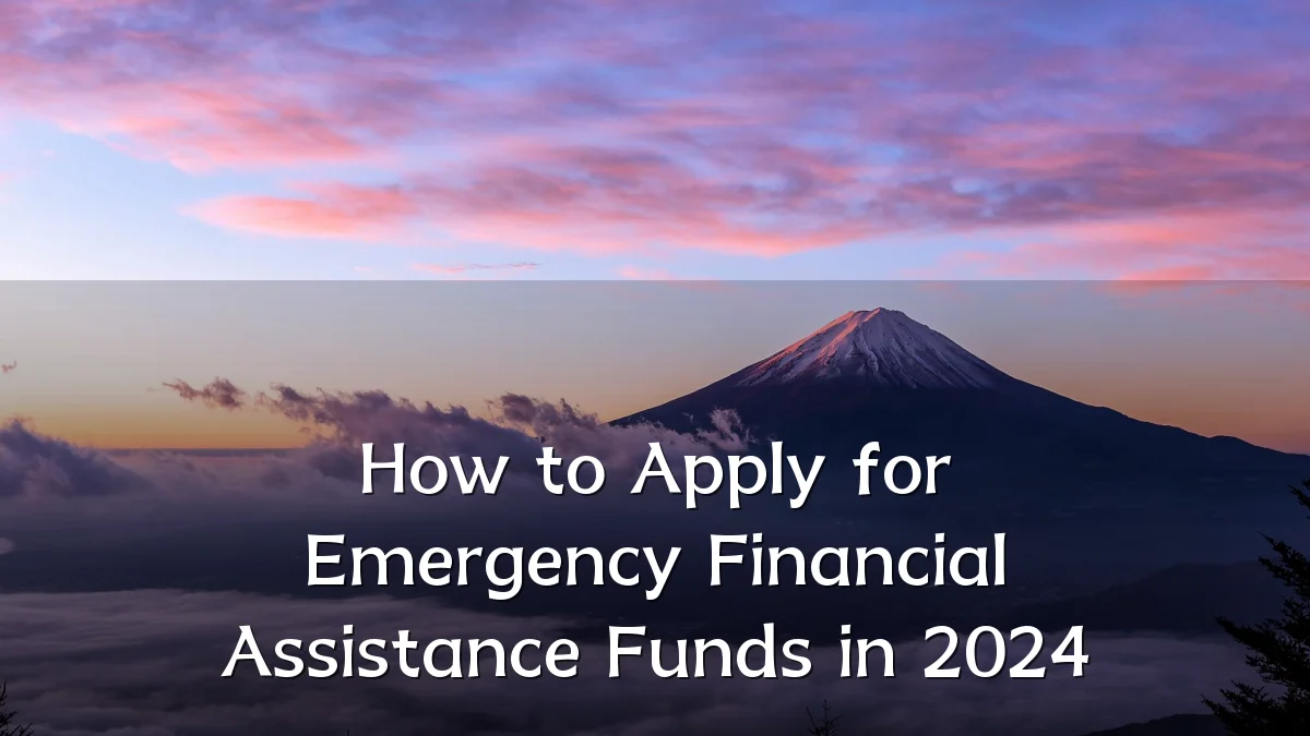 How to Apply for Emergency Financial Assistance Funds in 2024