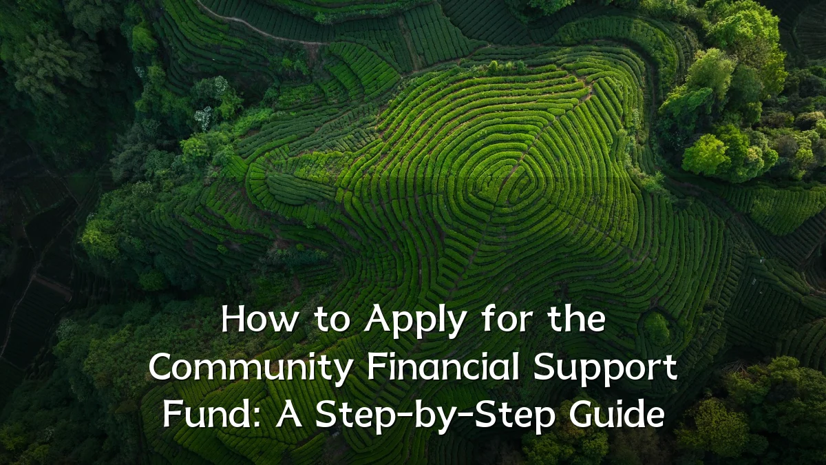 How to Apply for the Community Financial Support Fund: A Step-by-Step Guide