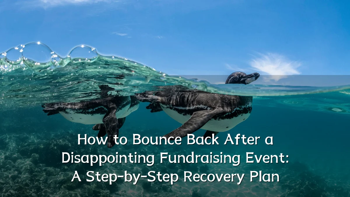 How to Bounce Back After a Disappointing Fundraising Event: A Step-by-Step Recovery Plan