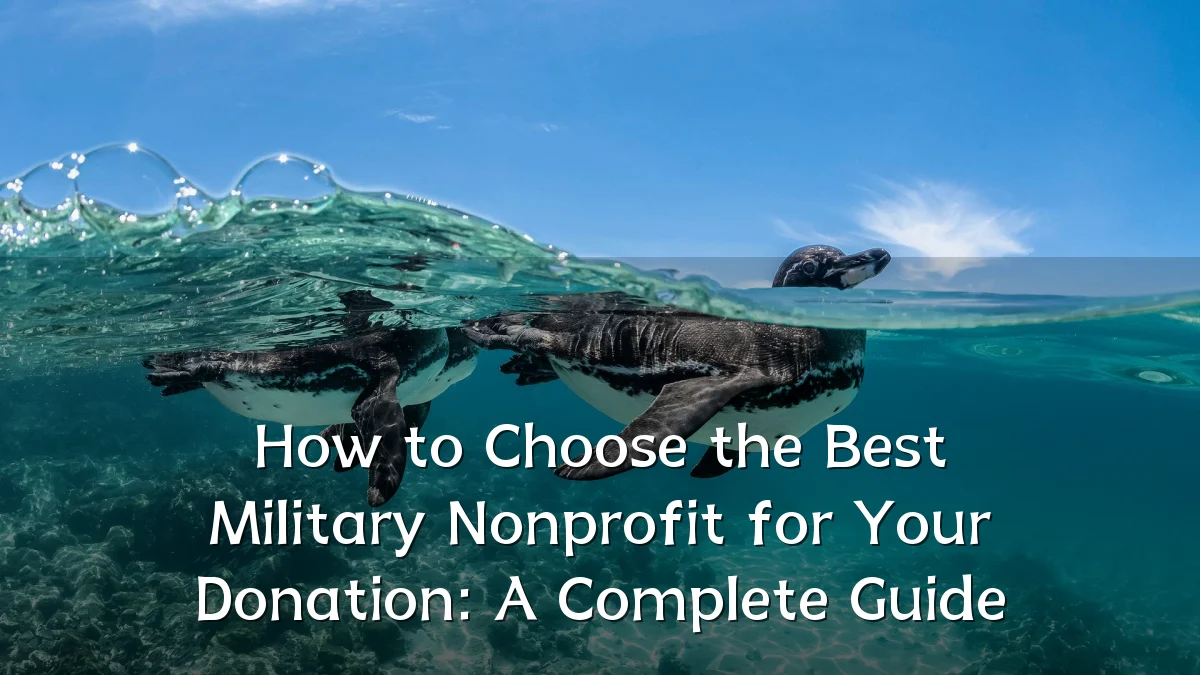How to Choose the Best Military Nonprofit for Your Donation: A Complete Guide