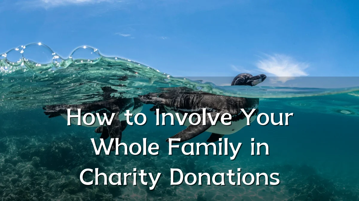 How to Involve Your Whole Family in Charity Donations
