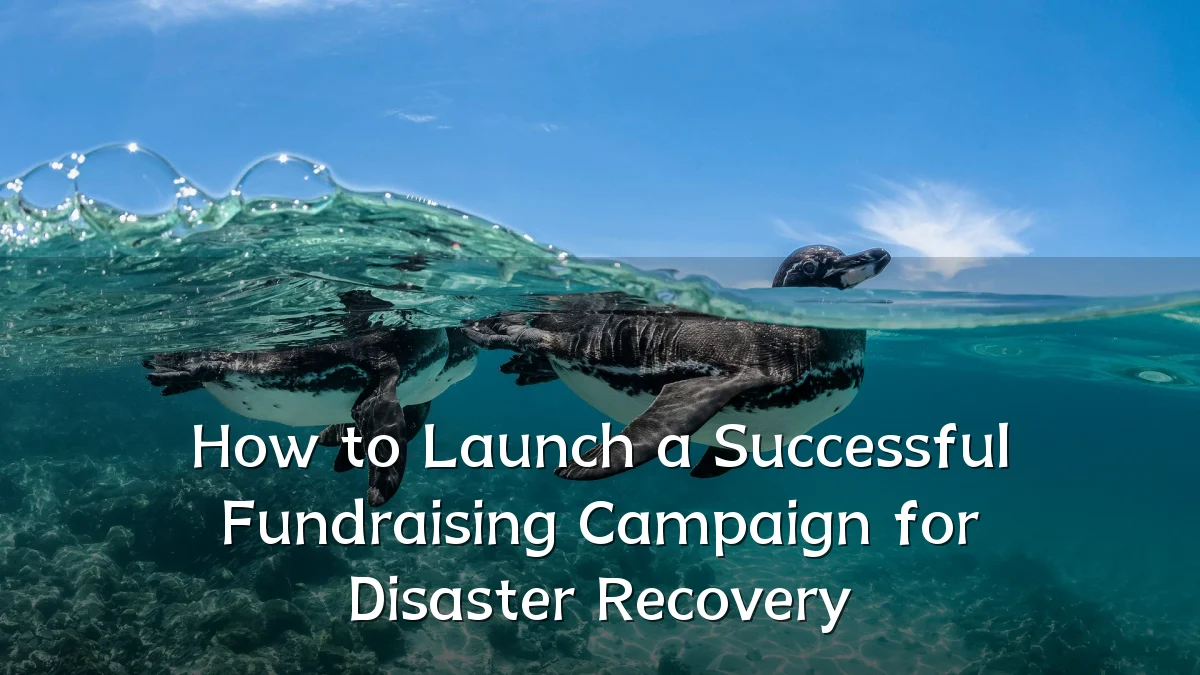 How to Launch a Successful Fundraising Campaign for Disaster Recovery