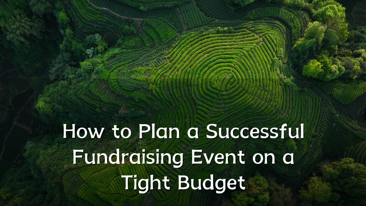 How to Plan a Successful Fundraising Event on a Tight Budget