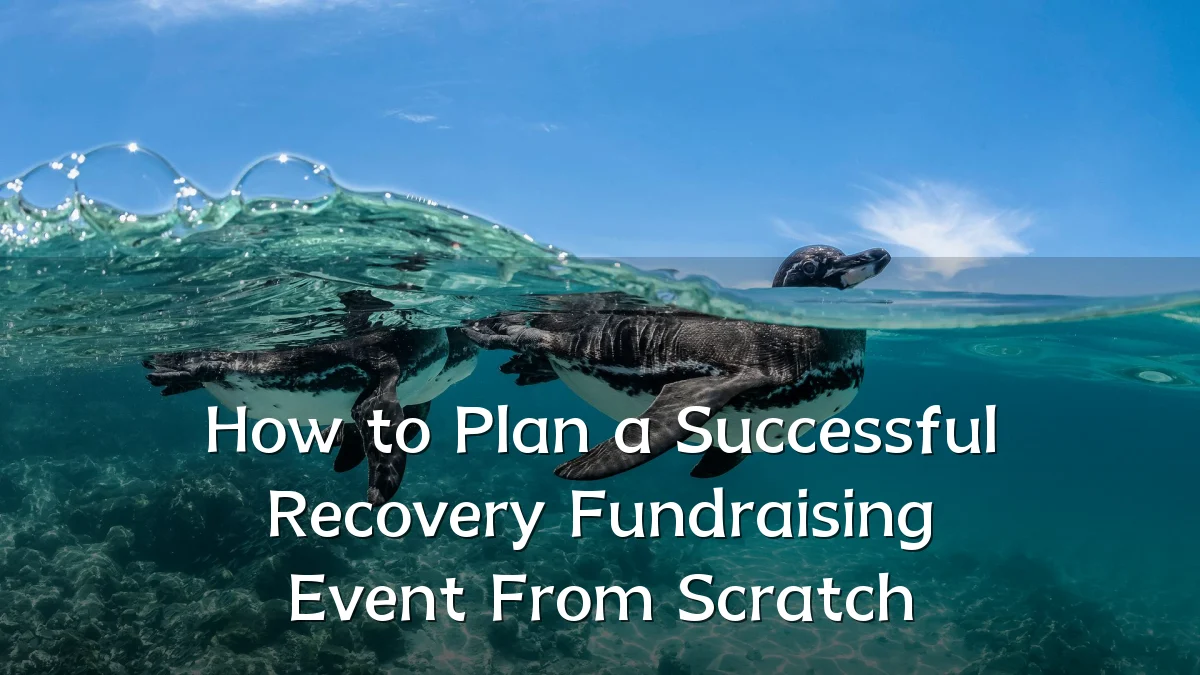 How to Plan a Successful Recovery Fundraising Event From Scratch