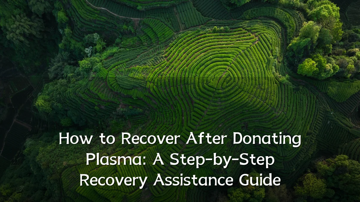How to Recover After Donating Plasma: A Step-by-Step Recovery Assistance Guide