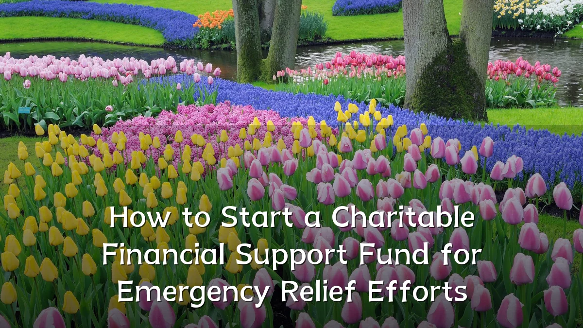 How to Start a Charitable Financial Support Fund for Emergency Relief Efforts