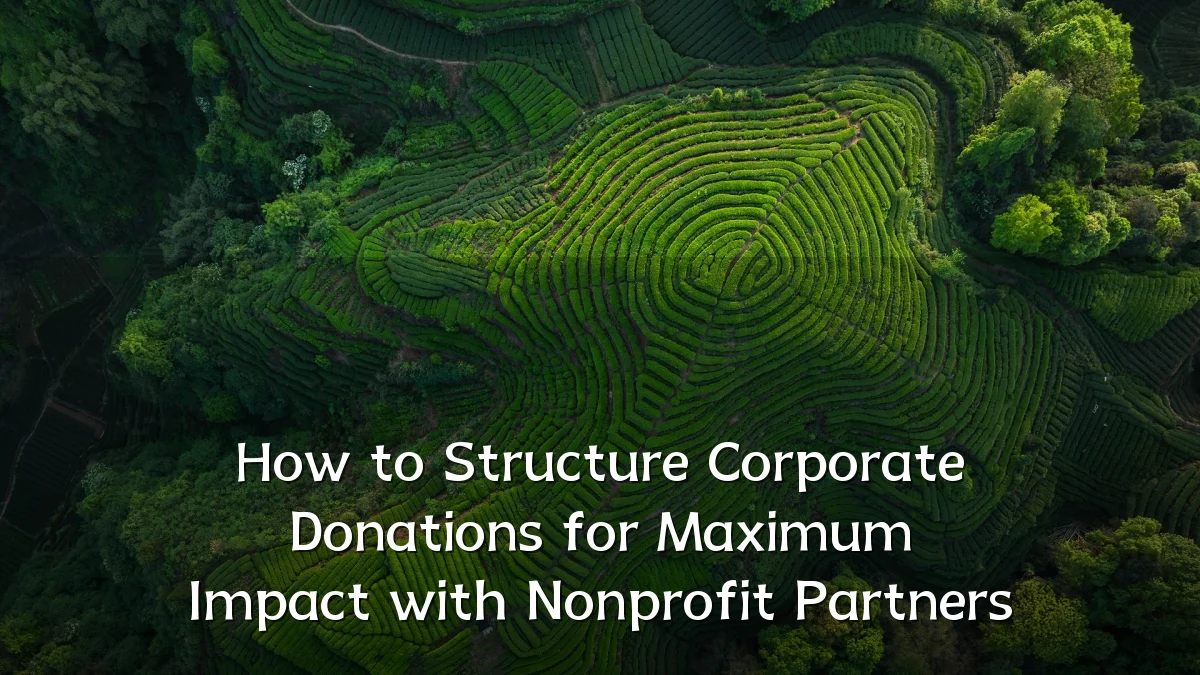 How to Structure Corporate Donations for Maximum Impact with Nonprofit Partners