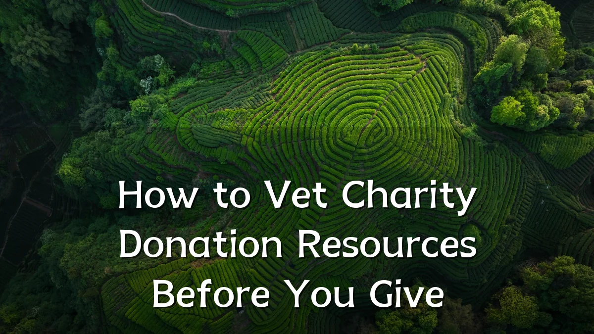 How to Vet Charity Donation Resources Before You Give