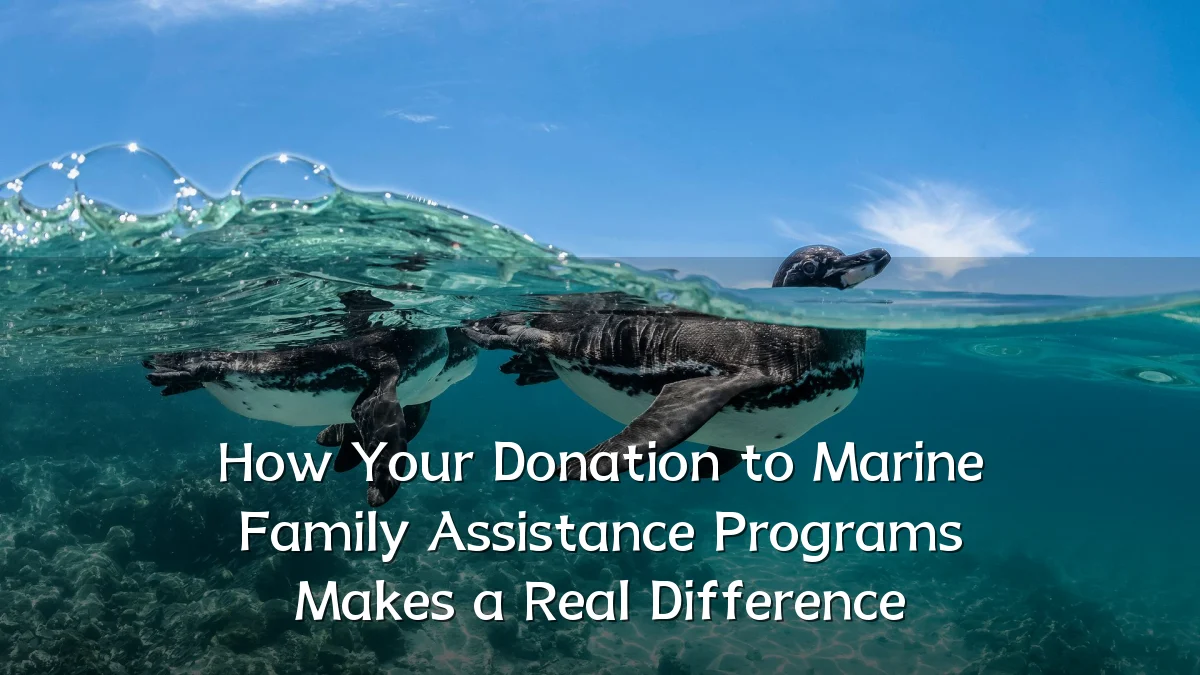 How Your Donation to Marine Family Assistance Programs Makes a Real Difference