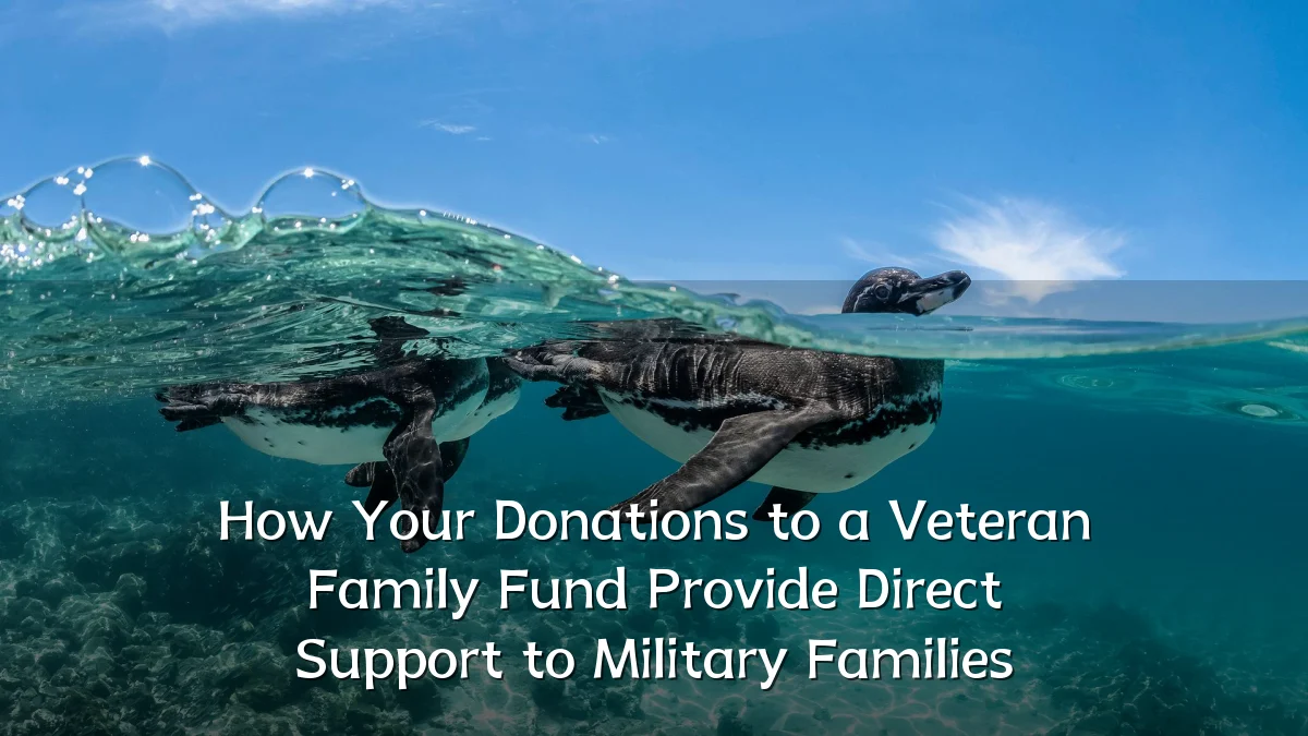 How Your Donations to a Veteran Family Fund Provide Direct Support to Military Families
