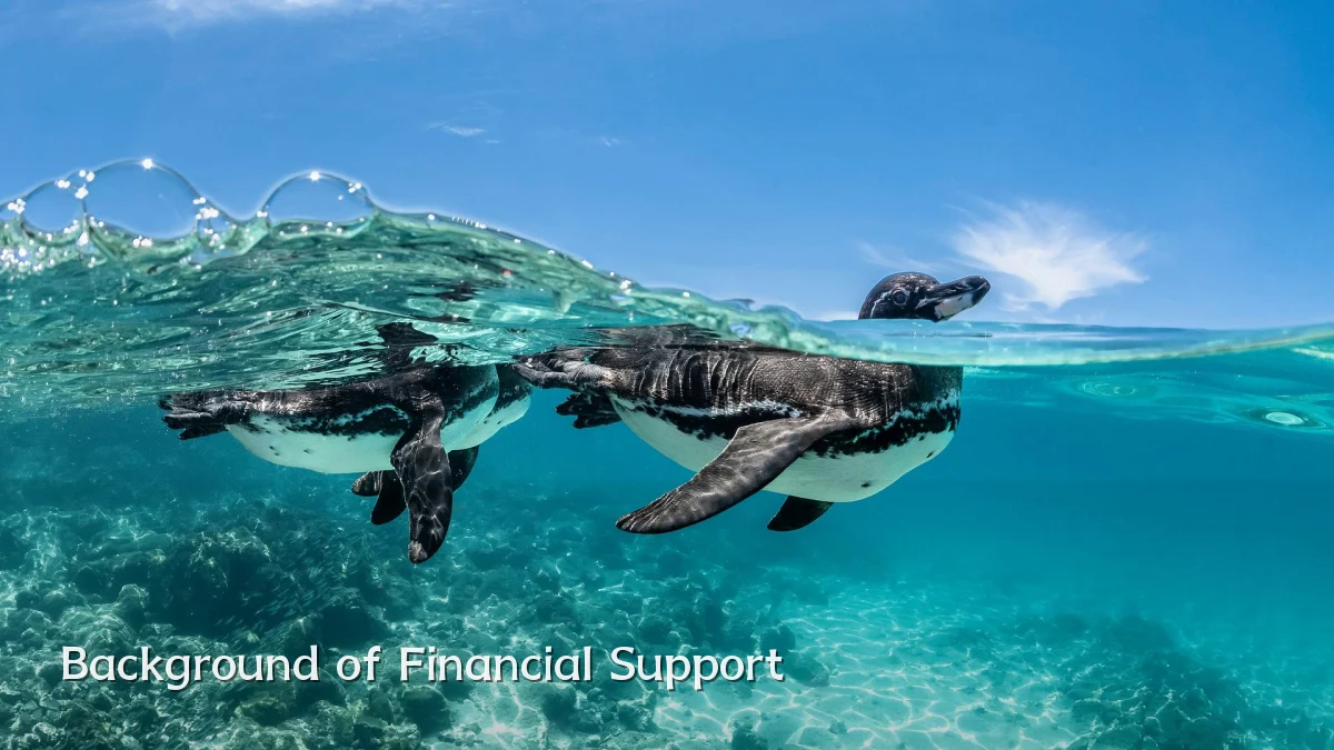 Background of Financial Support