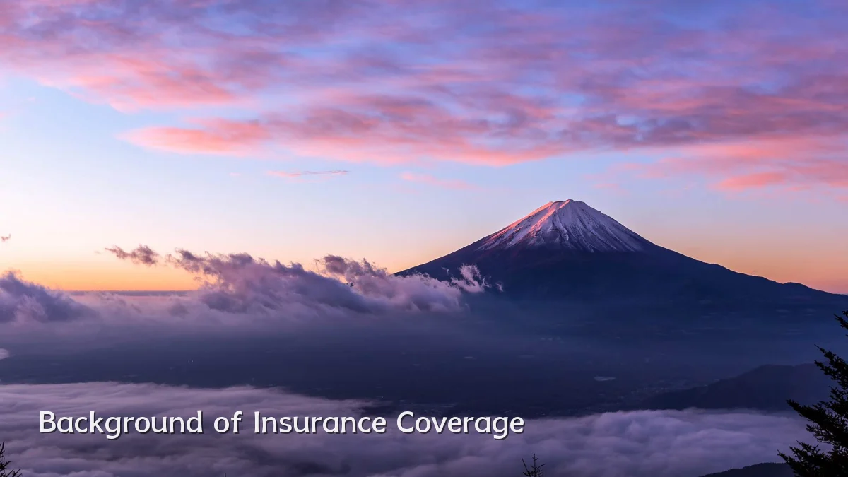 Background of Insurance Coverage