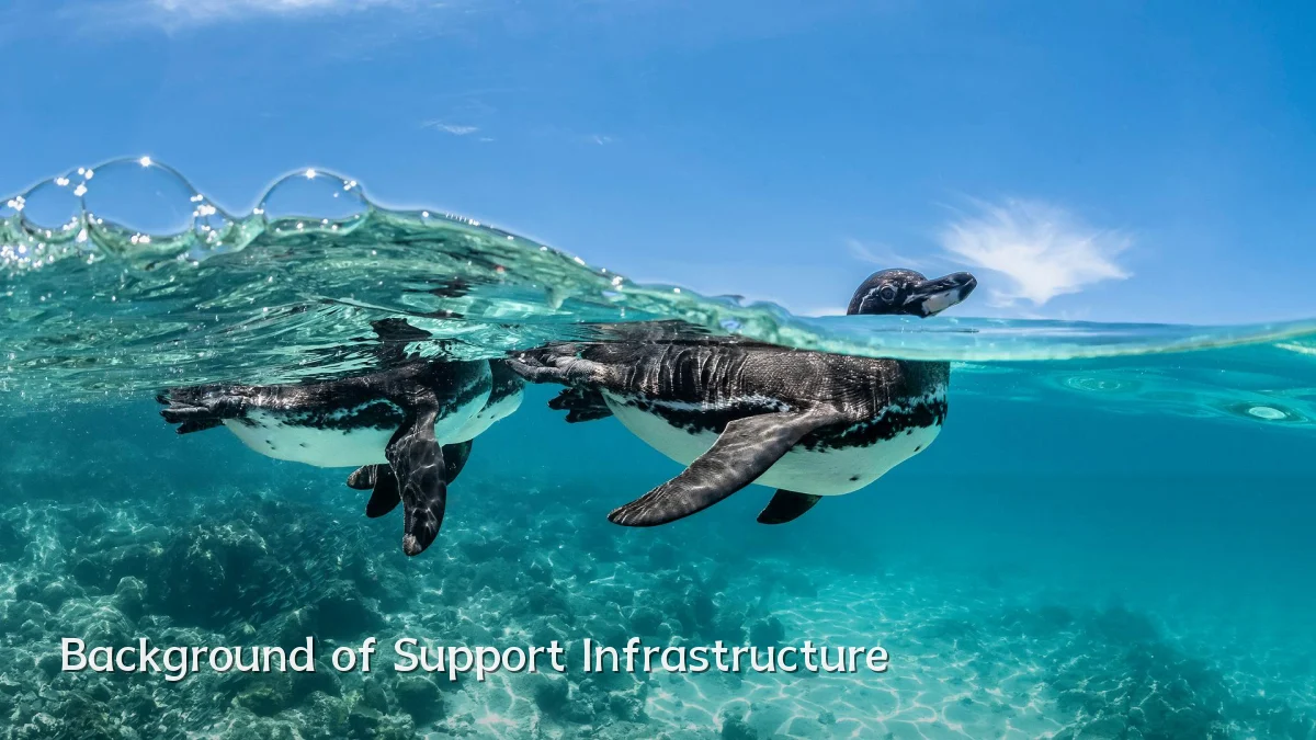 Background of Support Infrastructure