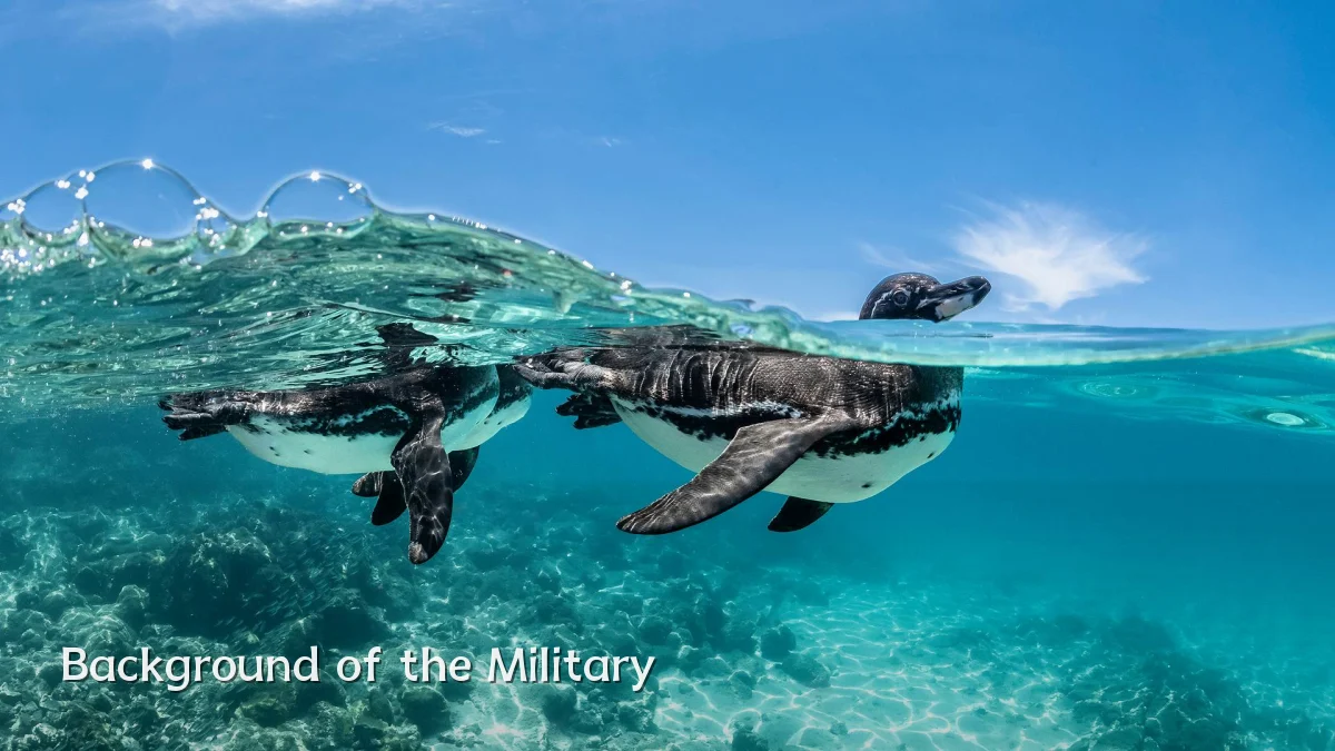 Background of the Military