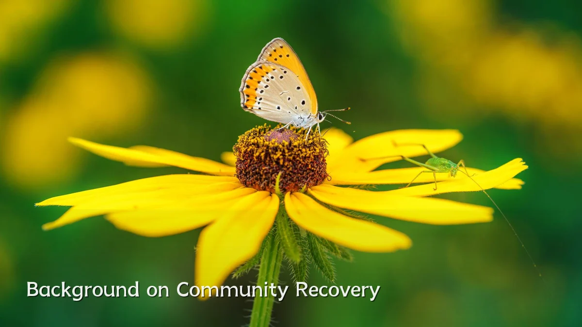 Background on Community Recovery